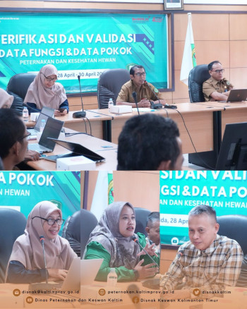 Data Berkualitas, Kebijakan Tepat: DPKH Kaltim Lakukan Verval Data Peternakan dan Kesehatan Hewan 2025