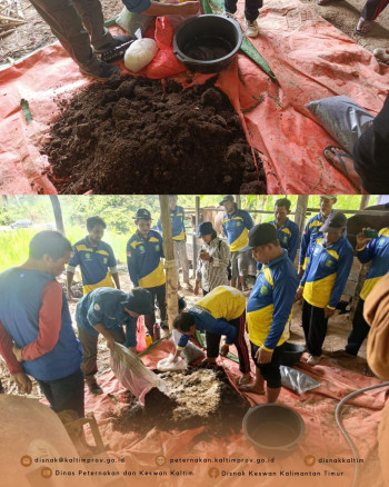 Bimtek Pemanfaatan Kotoran Hewan : DPKH Kaltim Siapkan Peternak Masuk Program PDKT 2025