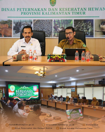 Bahas Kelanjutan Kerja Sama Peternakan, DPKH Kaltim Sambut Kedatangan Prov Gorontalo & Kunjungan ke RPH Tanah Merah