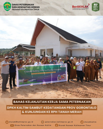 Bahas Kelanjutan Kerja Sama Peternakan, DPKH Kaltim Sambut Kedatangan Prov Gorontalo & Kunjungan ke RPH Tanah Merah