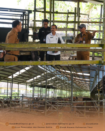 Bahas Kelanjutan Kerja Sama Peternakan, DPKH Kaltim Sambut Kedatangan Prov Gorontalo & Kunjungan ke RPH Tanah Merah