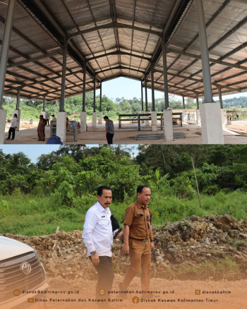 Bahas Kelanjutan Kerja Sama Peternakan, DPKH Kaltim Sambut Kedatangan Prov Gorontalo & Kunjungan ke RPH Tanah Merah