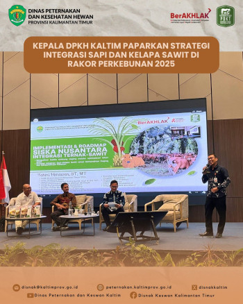 Kepala DPKH Kaltim Paparkan Strategi Integrasi Sapi–Sawit di Rakor Perkebunan 2025